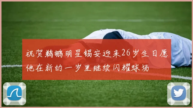 祝贺鹈鹕明星锡安迎来26岁生日愿他在新的一岁里继续闪耀球场
